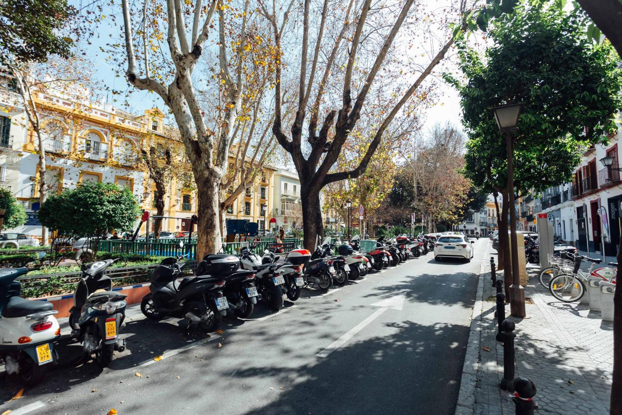 Luxury And Cozy- 1Bd 1Bth- Las Setas Sevilla Eksteriør billede